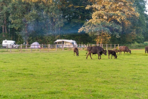 Campings met prive sanitair in Brabant
